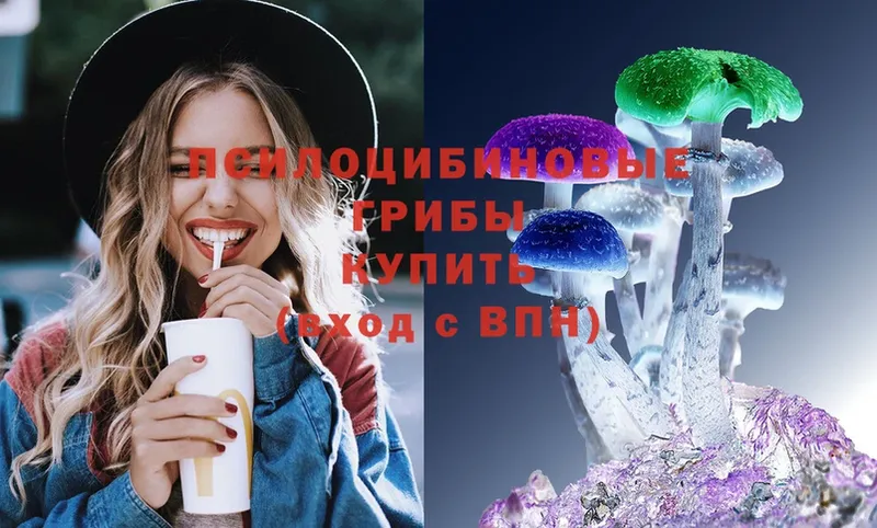 Галлюциногенные грибы Cubensis  Дорогобуж 